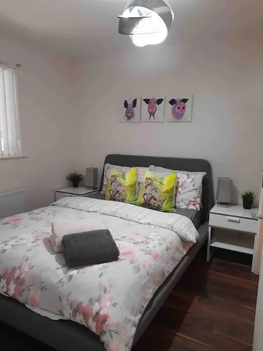 Belfast Apartment